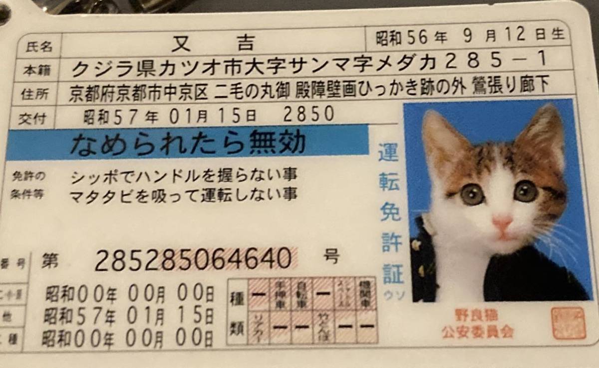 元祖なめ猫 なめんなよ なめねこ 昭和レトロ 免許証ストラップその⑳