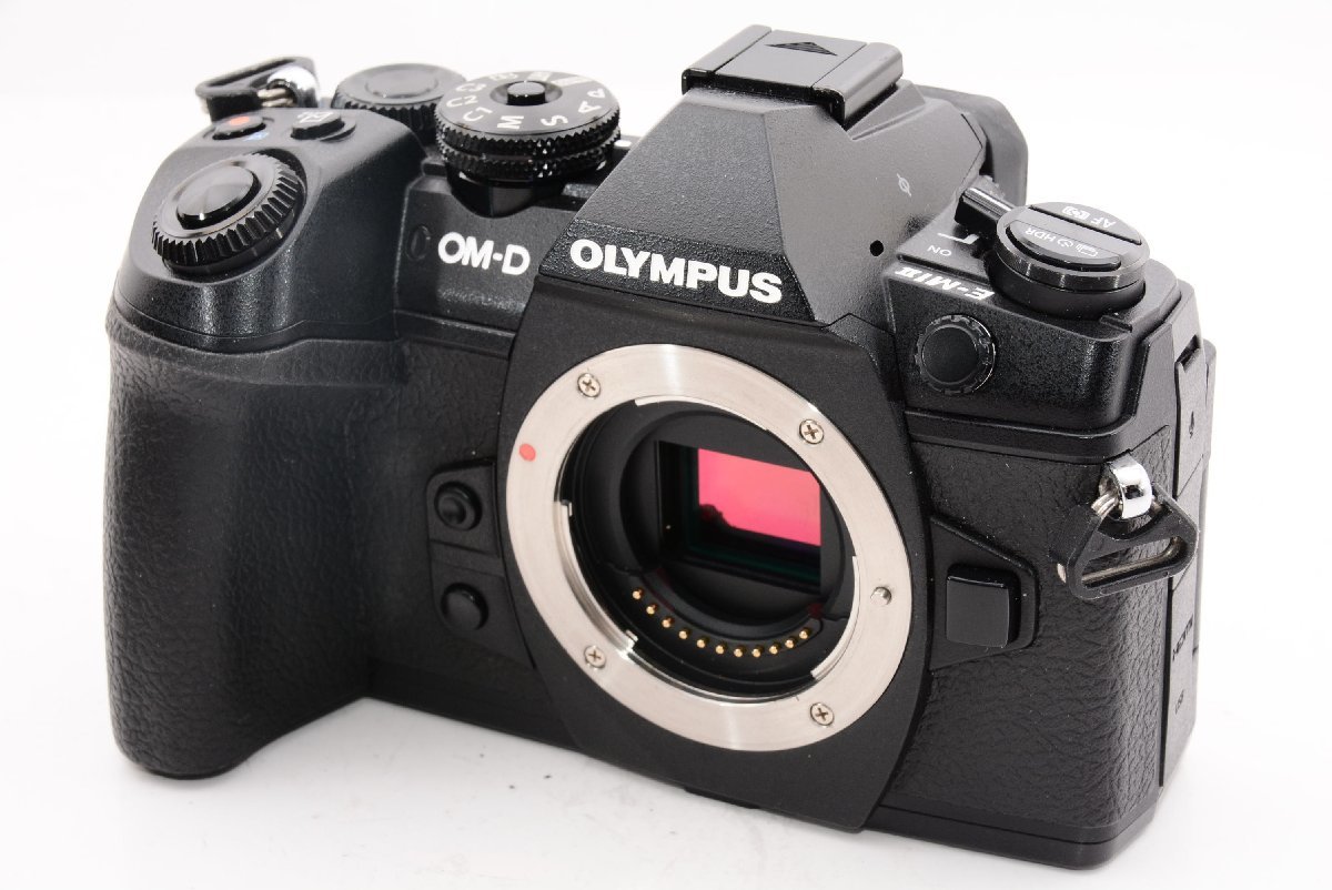 【外観特上級】OLYMPUS ミラーレス一眼カメラ OM-D E-M1 MarkII ボディー
