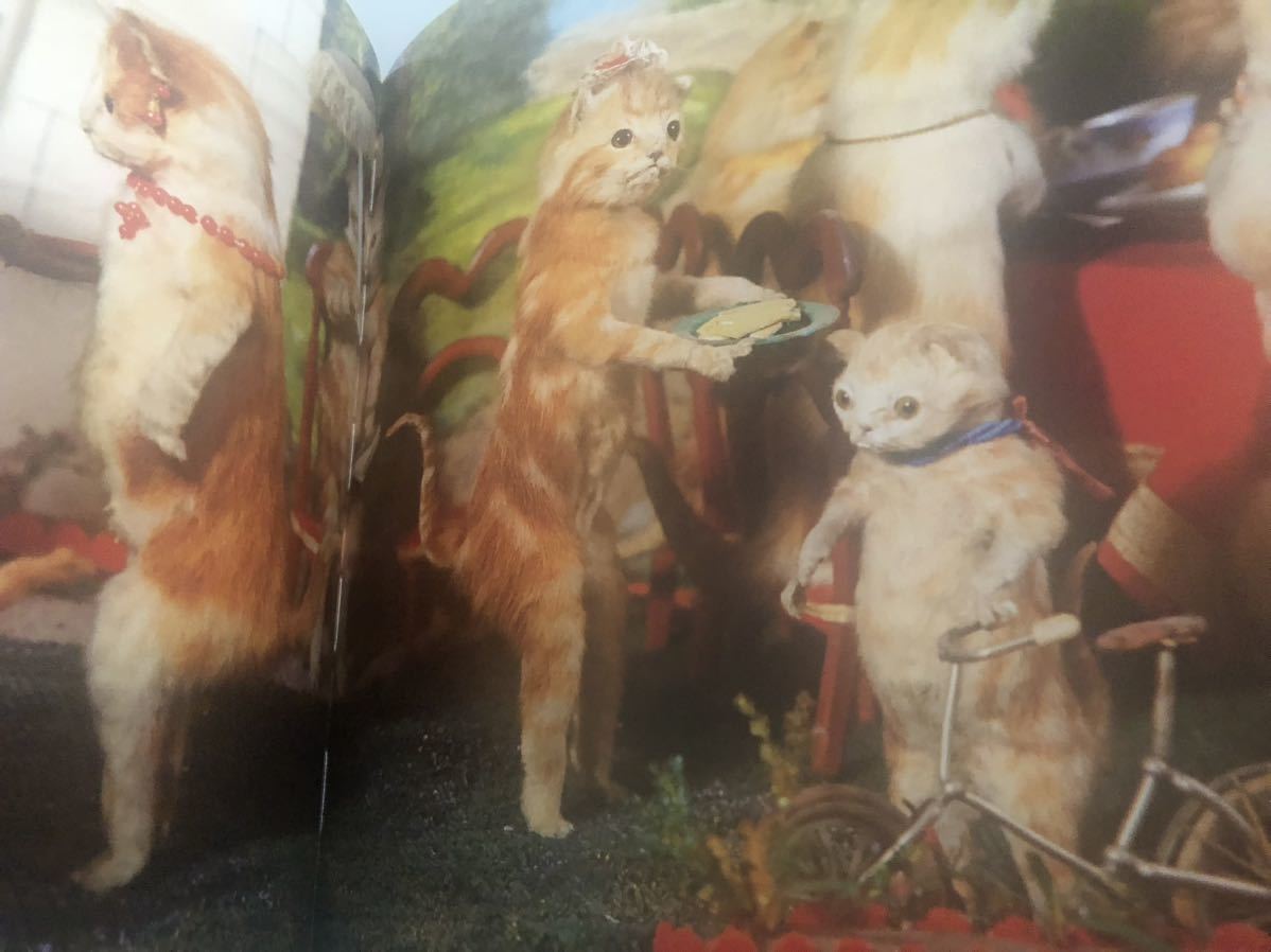 希少本◇WALTER POTTER'S CURIOUS WORLD of TAXIDERMY 希少本◇WALTER POTTER'S CURIOUS WORLD of TAXIDERMY