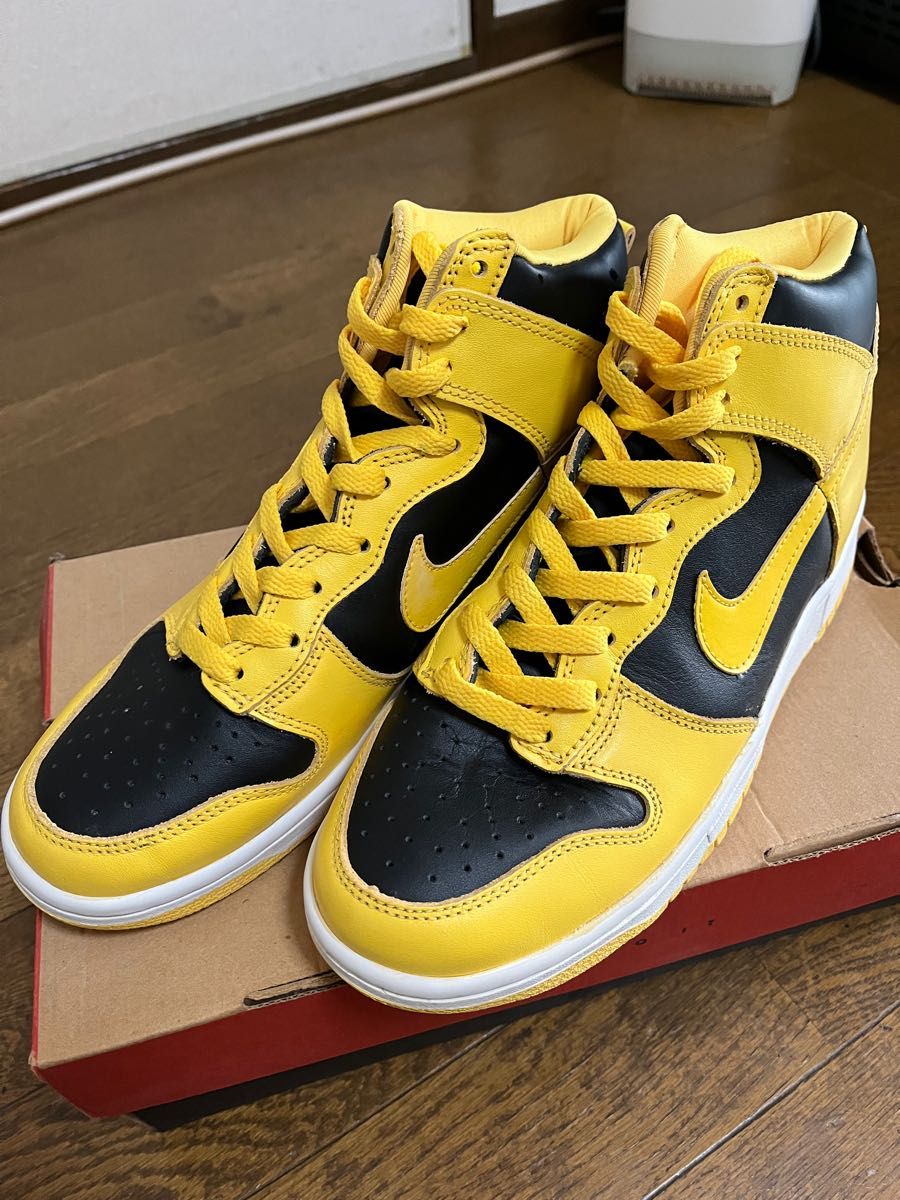 NIKE ダンク アイオワ 99年製 | noonanwaste.com