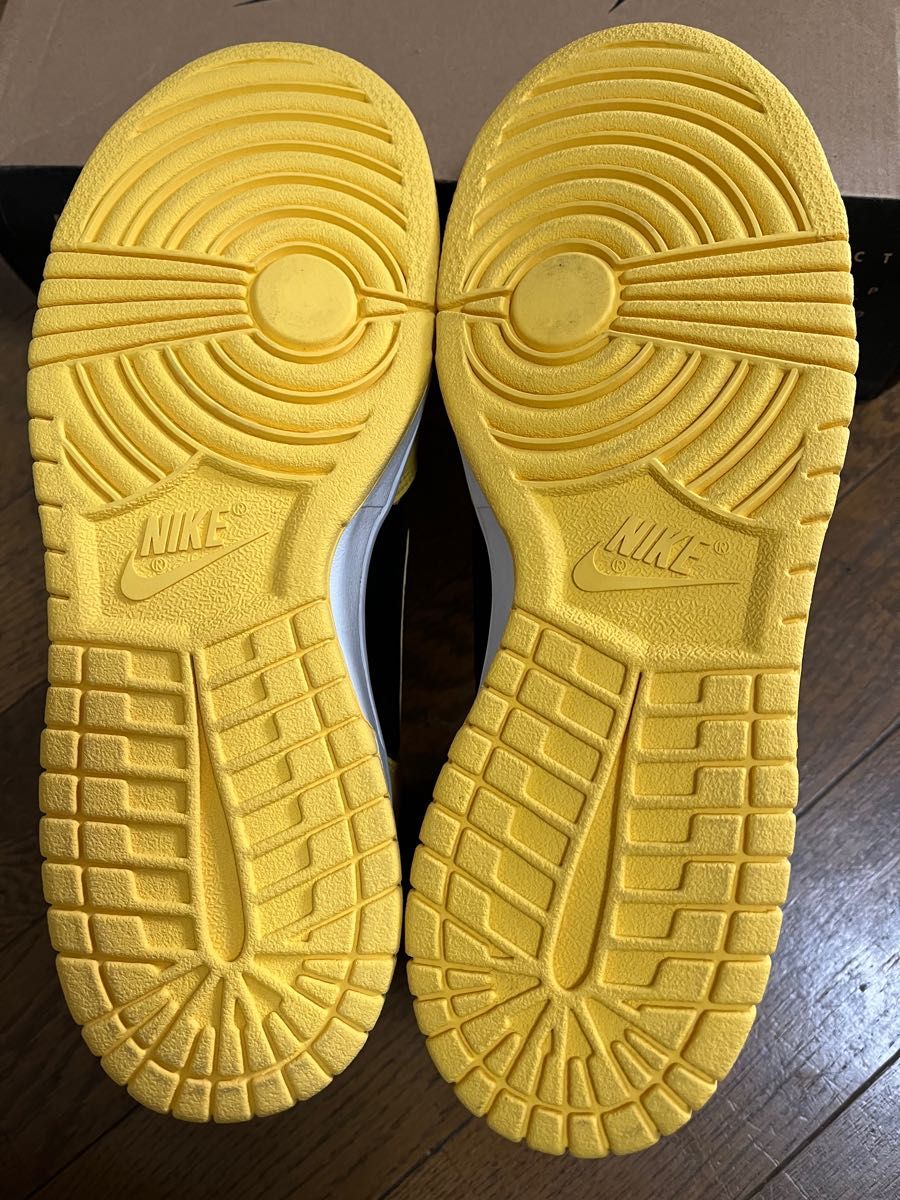 NIKE ダンク アイオワ 99年製 | noonanwaste.com