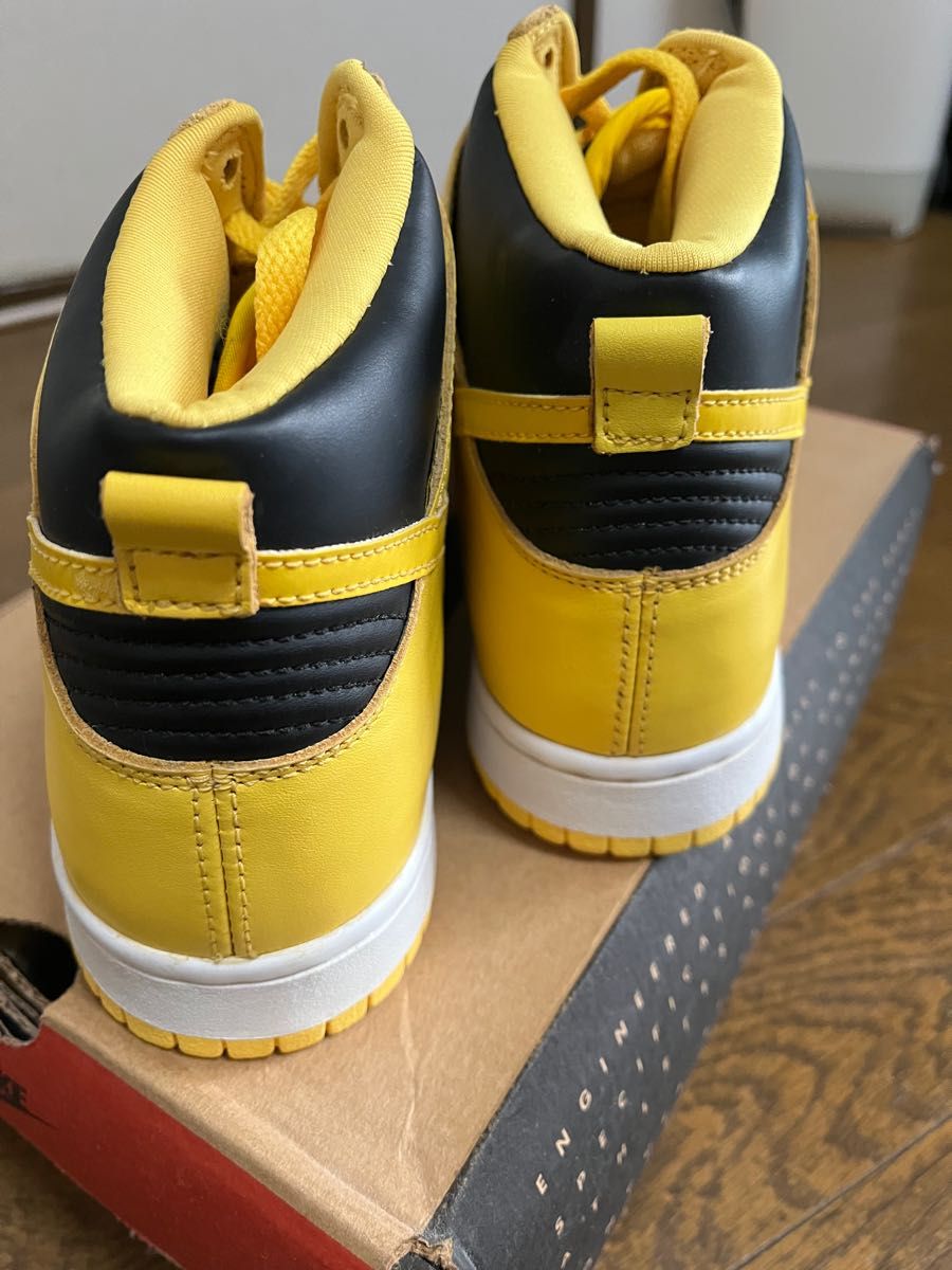 NIKE ダンク アイオワ 99年製 | noonanwaste.com