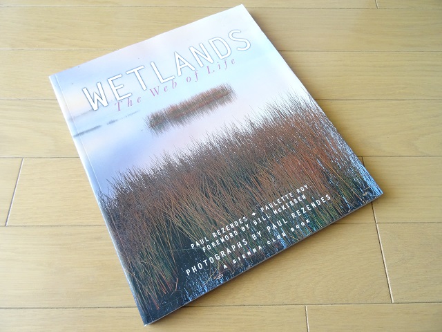 洋書◆湿地帯の写真集 本 湿原 風景 景色 自然_画像1