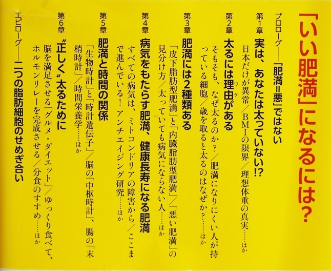 ★送料無料★ 『いい肥満、悪い肥満』 伊藤 裕　健康長寿のために メタボリックドミノ 抗加齢医学 〝正しく〟太る　★同梱ＯＫ★