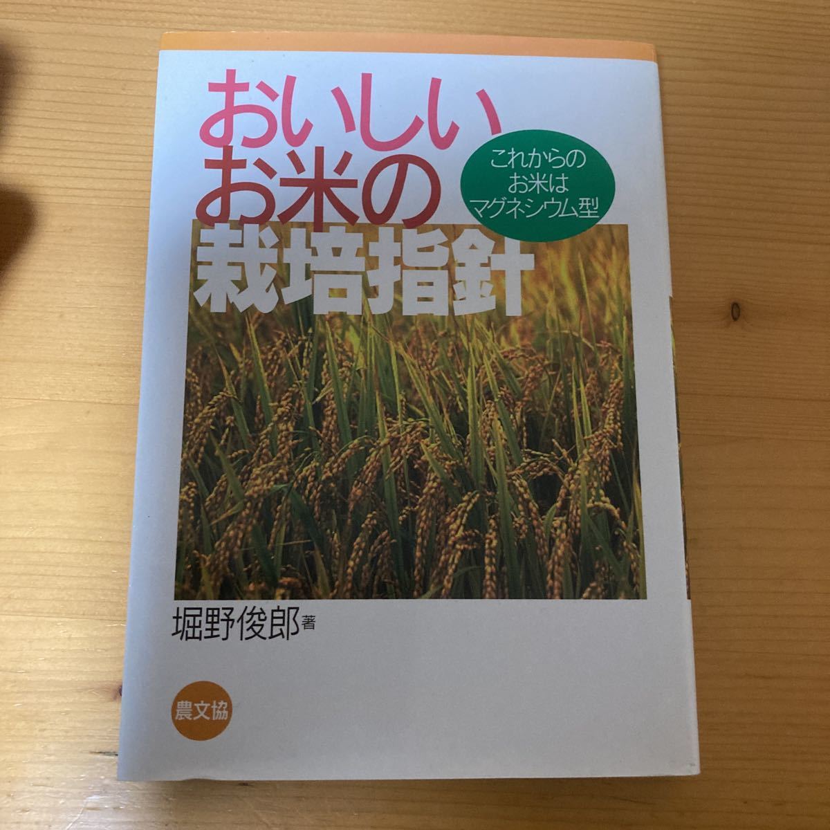 新建築　第93巻　8号　2018年　8月　建築　雑誌　本