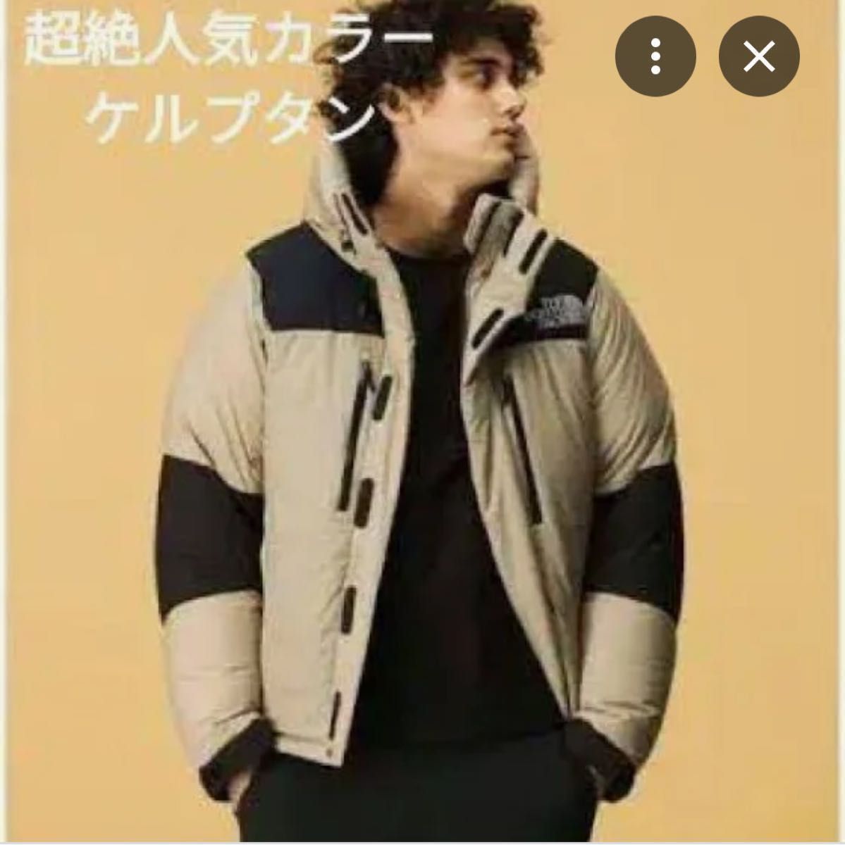 THE NORTH FACE バルトロライトジャケット ケルプタン 人気色 ND91840