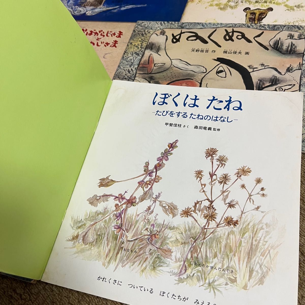 古書　福音館　たくさんのふしぎ　かがくのとも　こどものとも