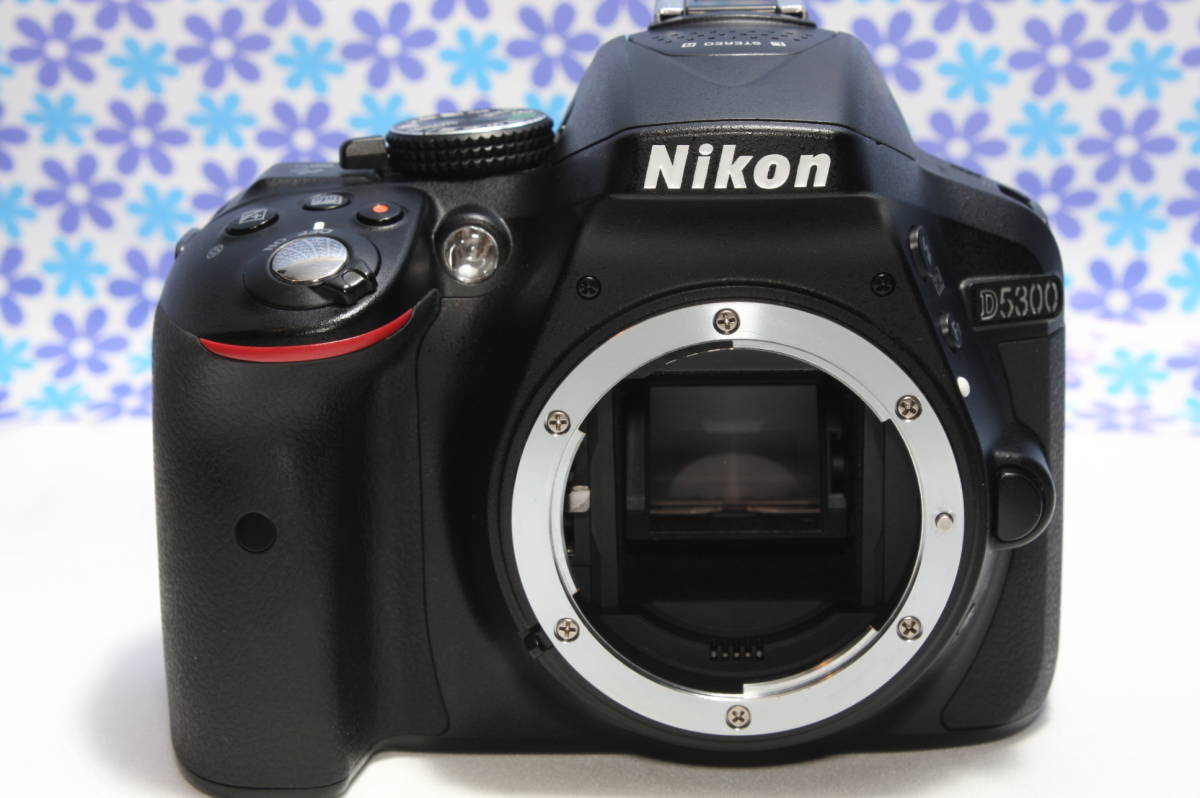 極上美品☆Wi-Fi内蔵☆Nikon ニコン D5300☆高画質☆フルHD動画☆人気