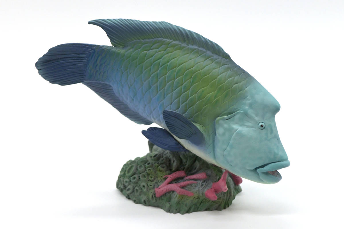 海洋堂】AQUALAND AQM-029「メガネモチノウオ」展示用・激レア 海洋堂】AQUALAND AQM-029「メガネモチノウオ」展示用・激レア