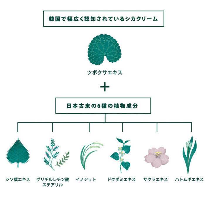 ☆ ホワイト シカクリーム 日本製 通販 シカメソッドクリーム cicaクリーム 韓国 定番 クリーム スキンケア 肌荒れ 保湿 コスメ 顔 全身_画像7