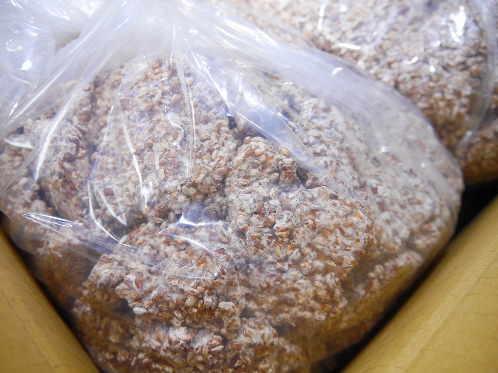 【おたまや】無農薬 有機肥料 赤米麹 生麹（5kg×2個）ヤフオク今季特別価格 - 4