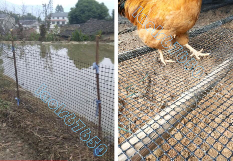 plastic fish . guard rail geo g lid interactive foot pad segregation breeding for fencing net chicken a Hill protection net 1.0M height 