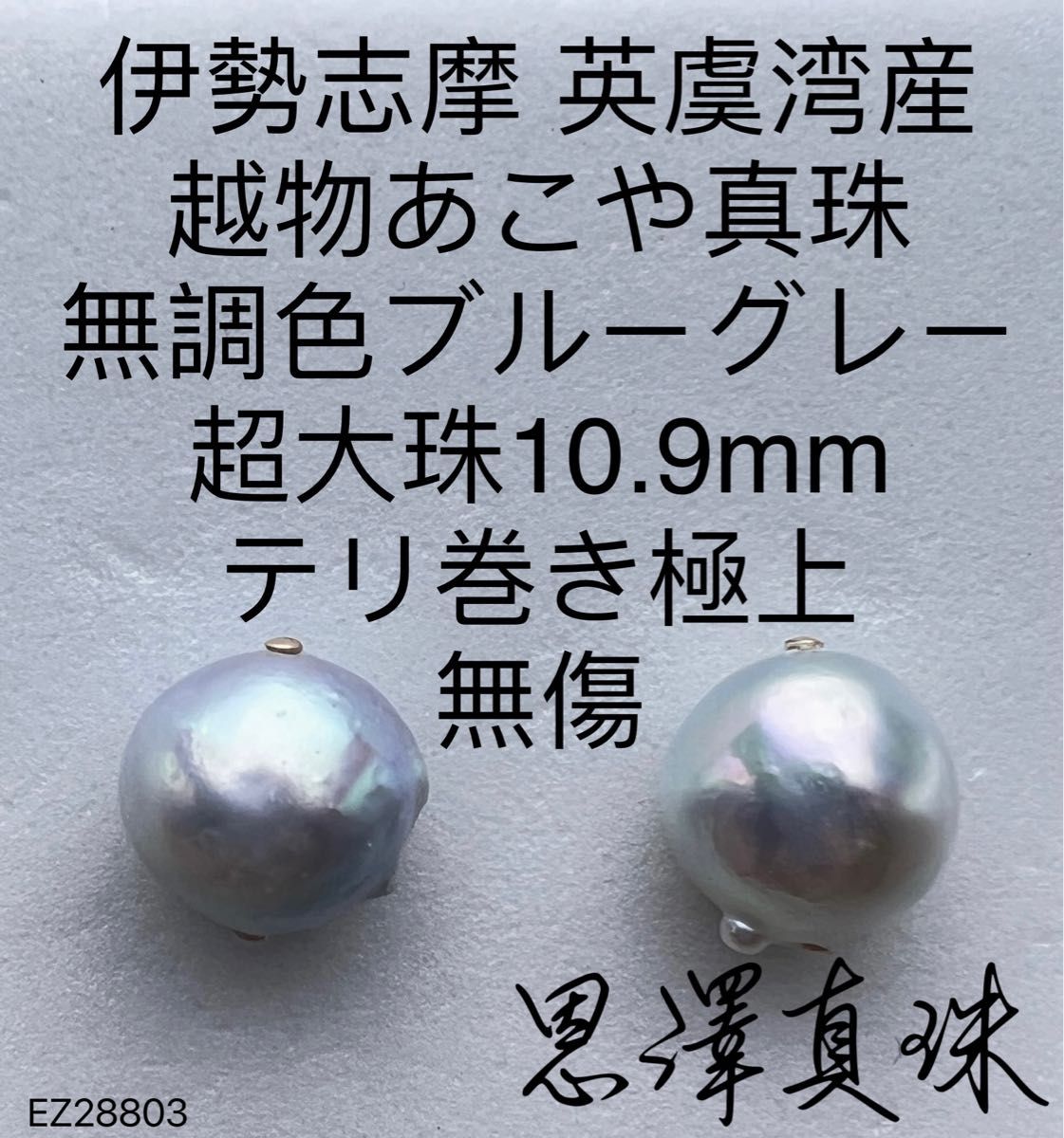 残りわずか 伊勢志摩 伊勢志摩 英虞湾産 伊勢志摩 越物あこや真珠テリ