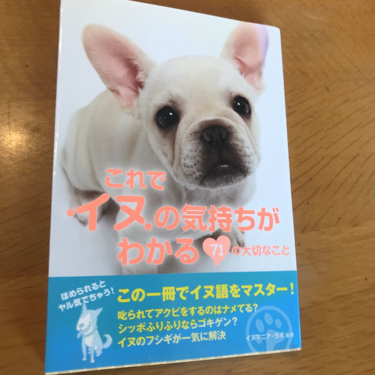 ・送料込み！これでイヌの気持ちがわかる ７１の大切なこと （ＥＡＲＴＨ ＳＴＡＲ Ｂｏｏｋｓ） イヌマニア・ラボ／編著の画像1