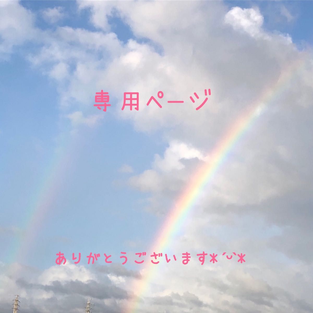 ちー様専用|PayPayフリマ