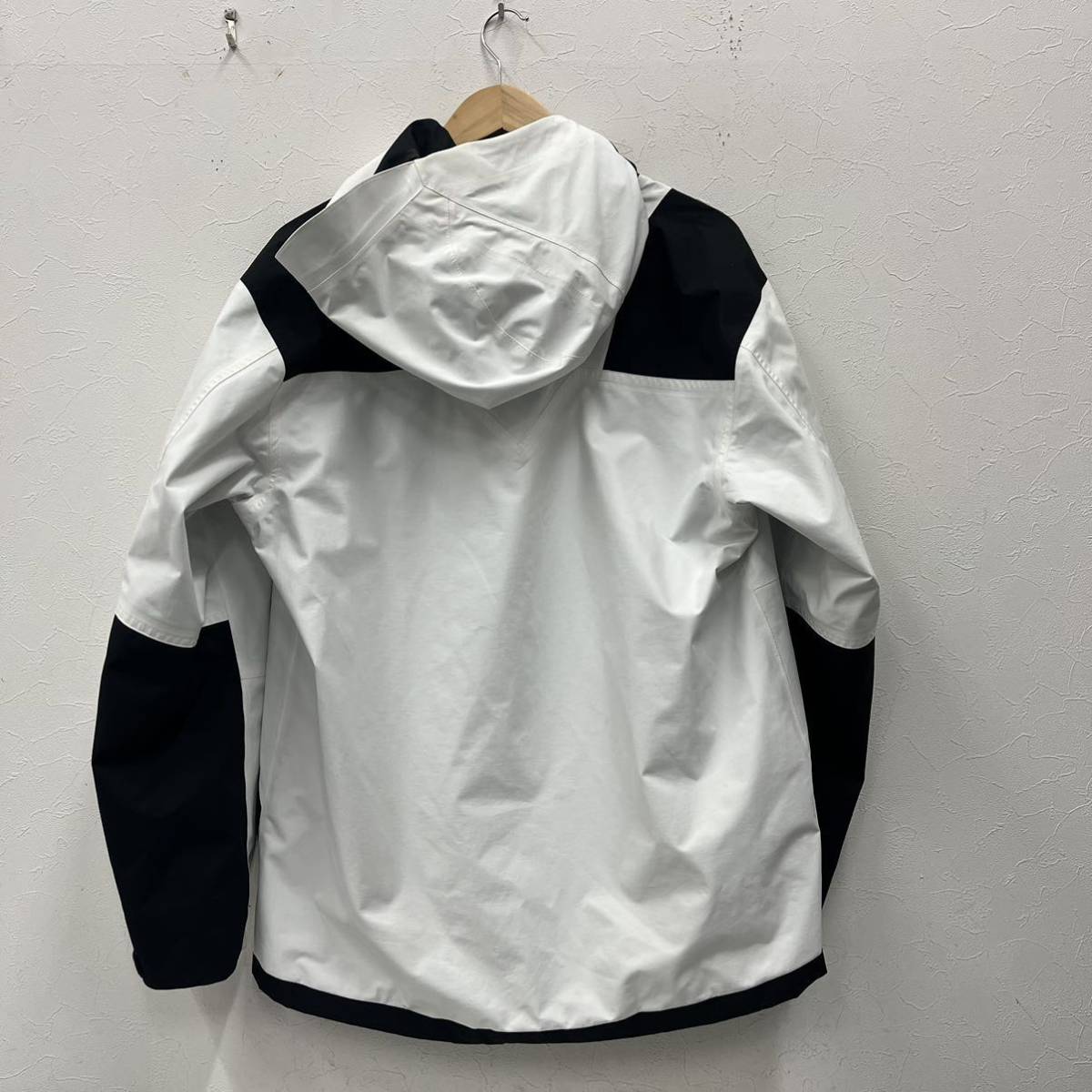 THE NORTH FACE RAGE GTX SHELL Pullover レイジ NP11962_画像2