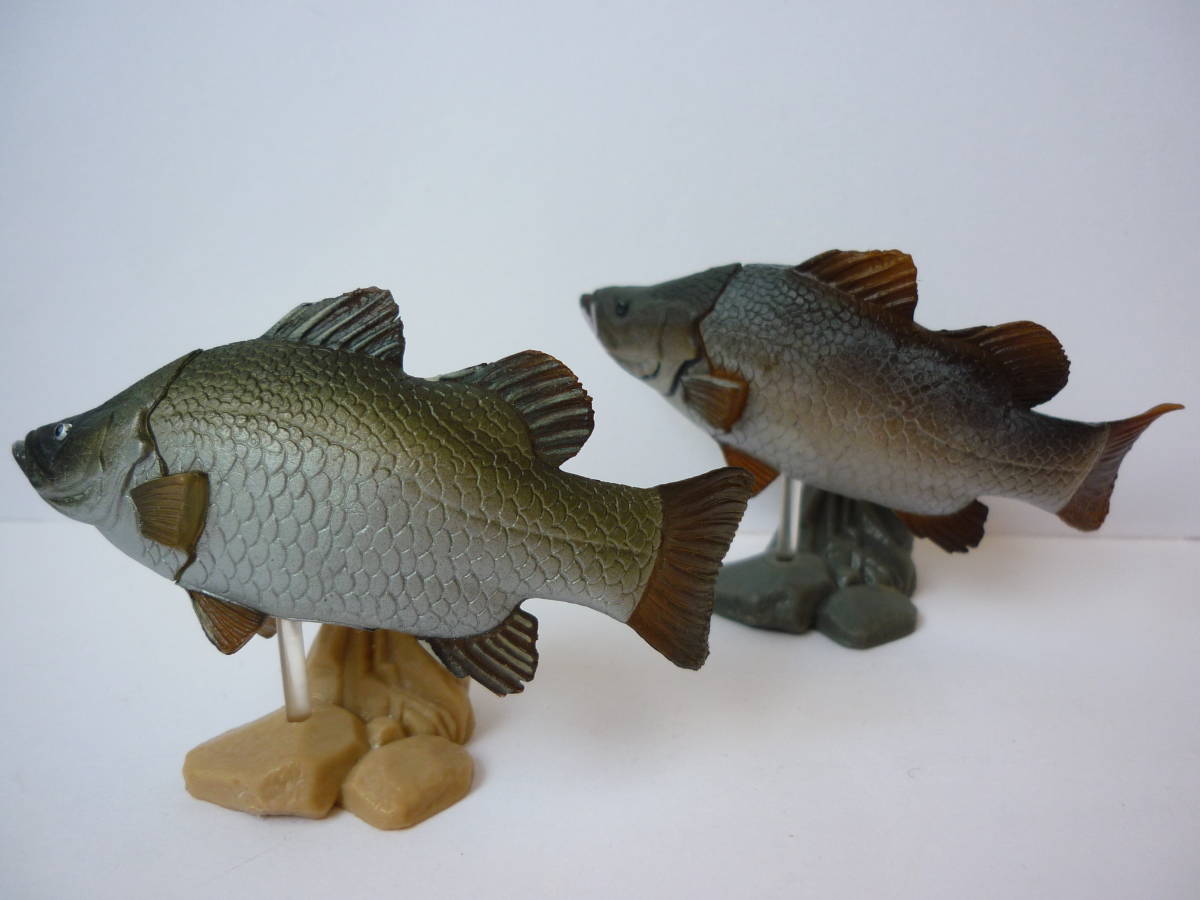 日本オーダー 原色淡水魚図鑑 魚フィギュアセット - avante.org.br