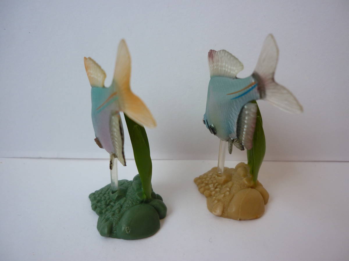 オンラインストア値下 原色淡水魚図鑑 魚フィギュアセット
