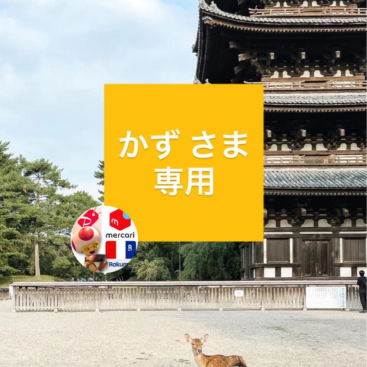 直営店に限定 シングルコインフォトミント 独特の上品 / 大谷翔平2022