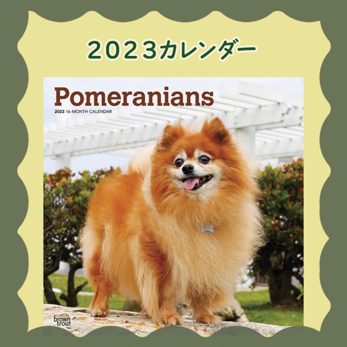 かわいいポメラニアン　2023年カレンダー　お値引き可！