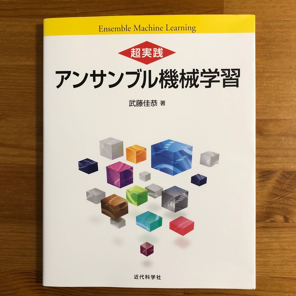 超実践アンサンブル機械学習 武藤佳恭／著