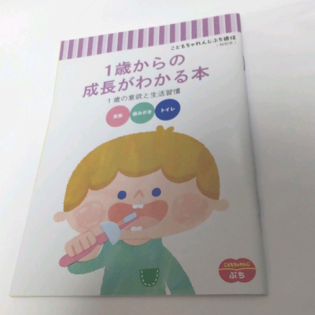 こどもちゃれんじぷち DVD 保護者向け冊子付き