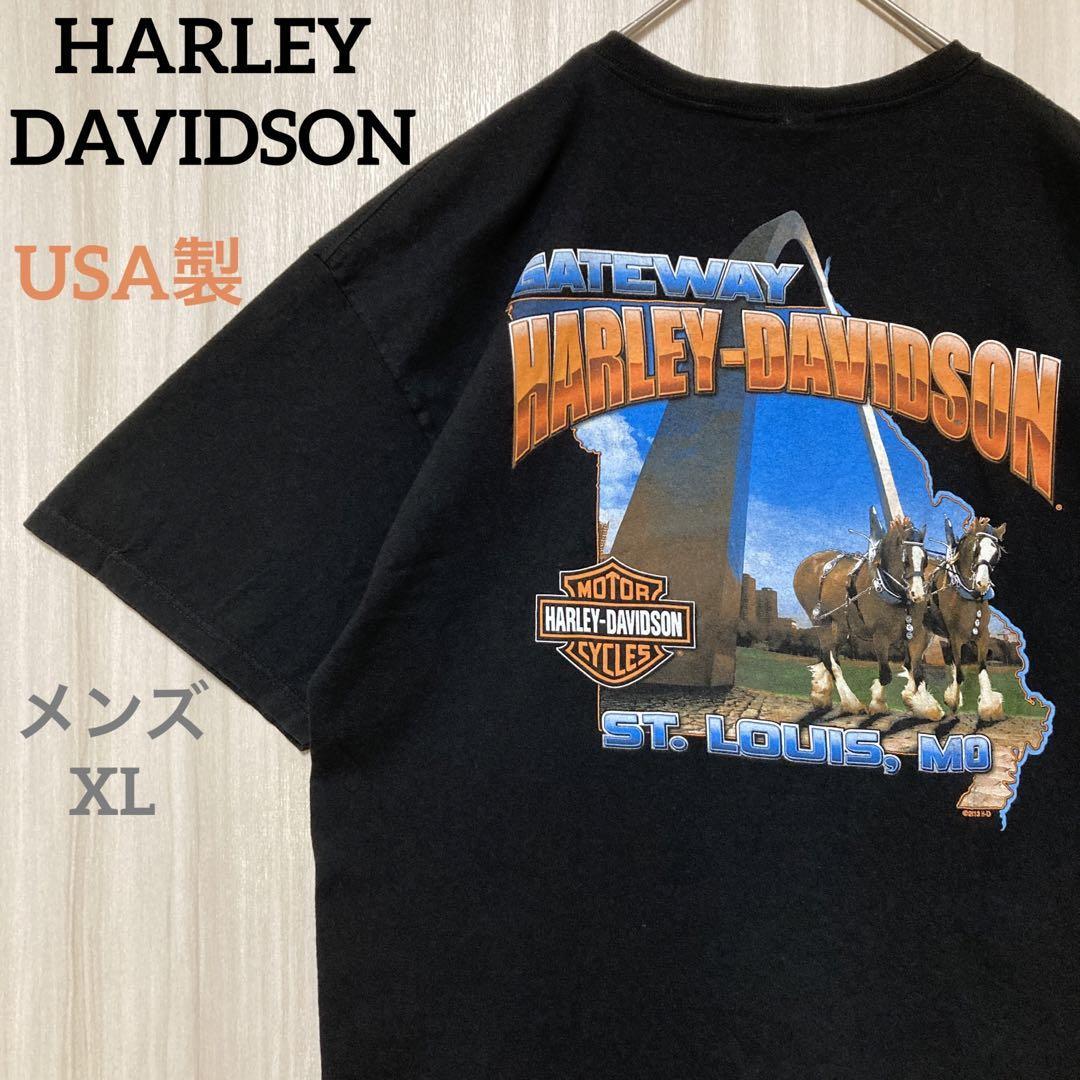 ハーレーダビッドソン　USA製　半袖　Tシャツ　両面プリントロゴ　黒　星条旗XL