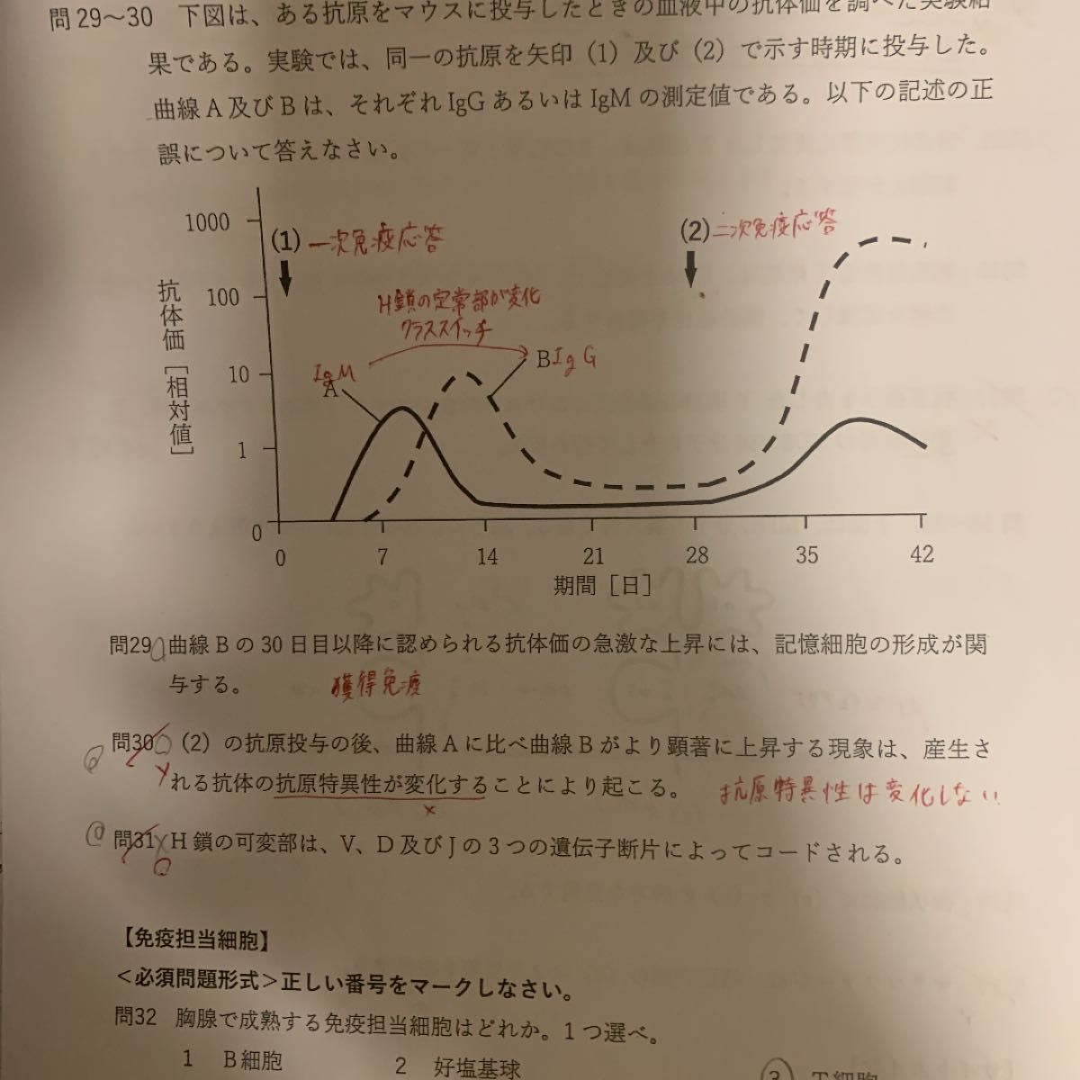 第108回薬剤師国家試験対策 薬ゼミ 薬学ゼミナール 全日制 9月コース 半年コース 確認テスト 問題用紙＋解答解説