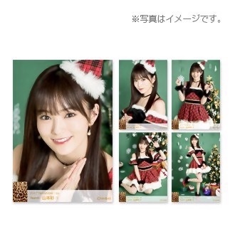 NMB48 山本彩 生写真 公式 個別生写真 5枚組 2017 November fajasbela.com