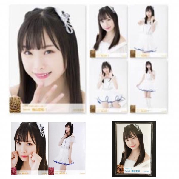 NMB48 月別個別生写真 5枚セット 2019 February ランダム生写真 2種 AB
