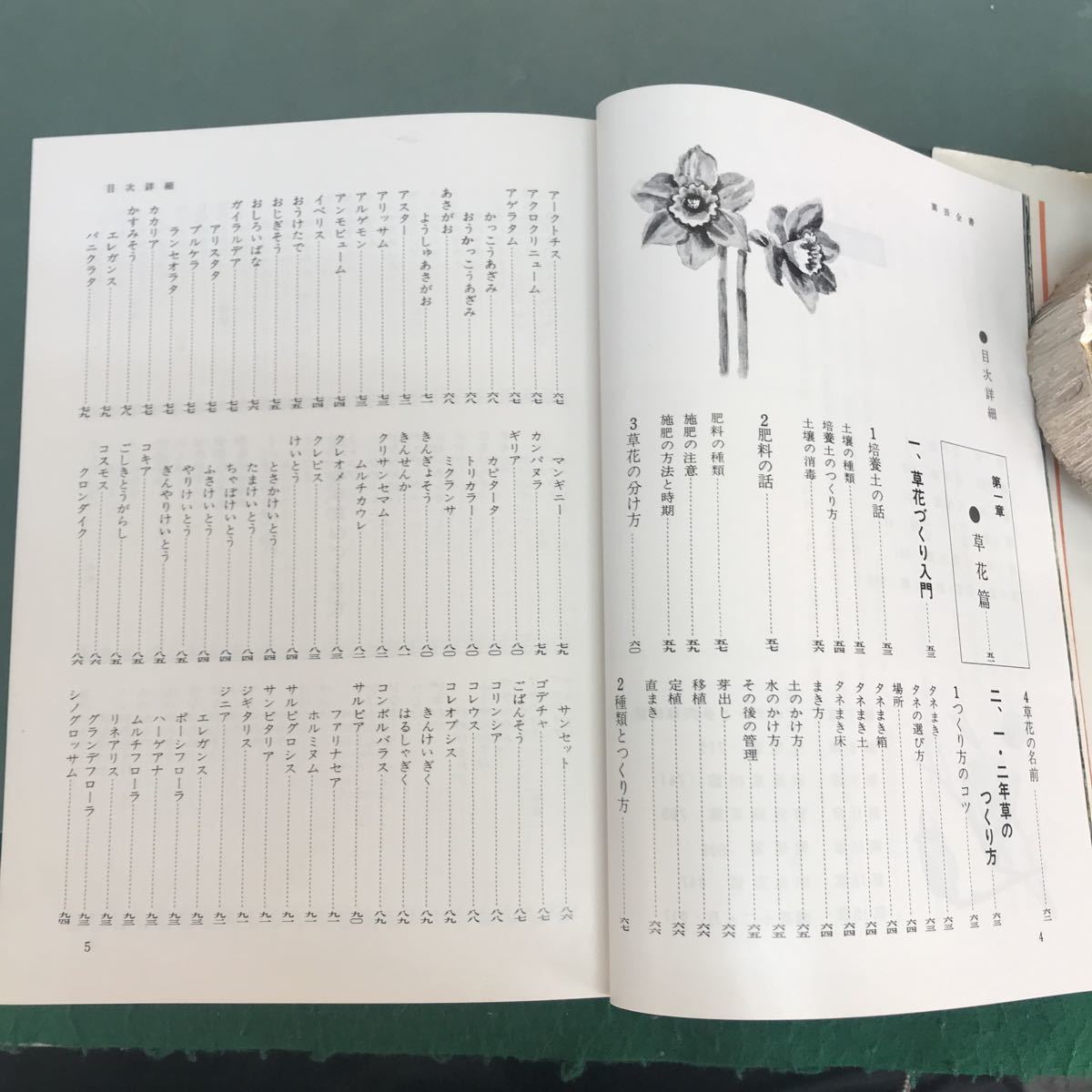 E68-015 園芸全書　園芸に必要なあらゆる知識と実技　元東京都技師神代植物公園　堀江総男　編著　金園社　全体的に汚れ有り_画像4