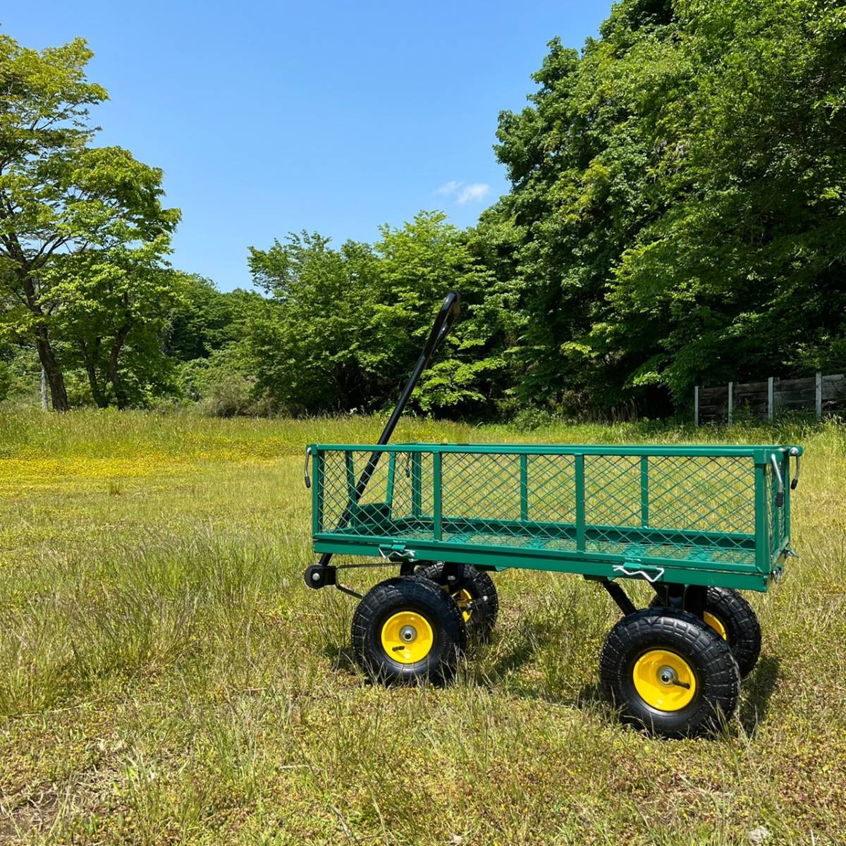 [ outlet ][ бесплатная доставка ] metal Wagon металл Wagon кемпинг Wagon садоводство радио Flyer нравится тоже!