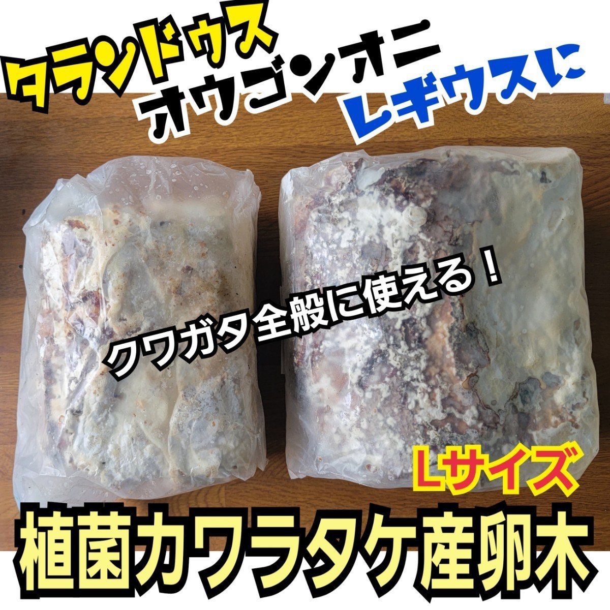 クワガタを産卵させるならコレが最強です！　カワラ植菌産卵木　カビが生えません！　加水も不要です！直径12～15センチの特大サイズです_画像3