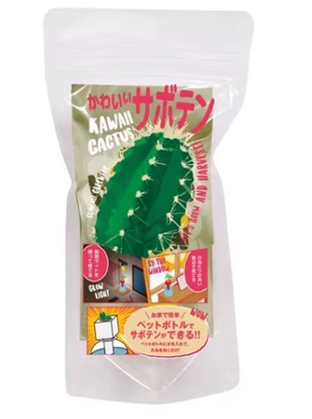  postage 300 jpy ( tax included )#au347# PET bottle . easy cultivation kit green toy cactus 6 point [sin ok ]