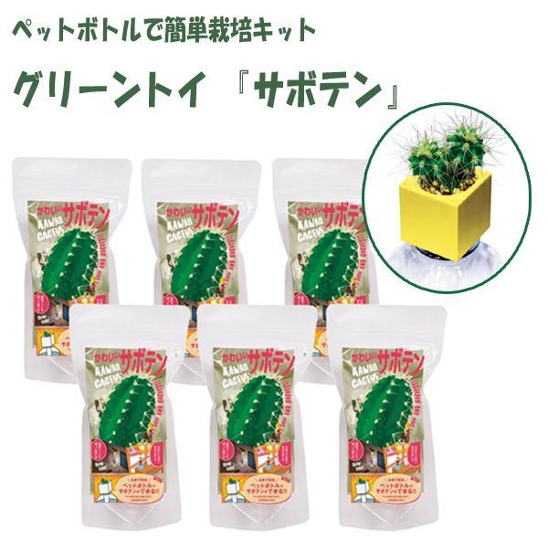  postage 300 jpy ( tax included )#au347# PET bottle . easy cultivation kit green toy cactus 6 point [sin ok ]