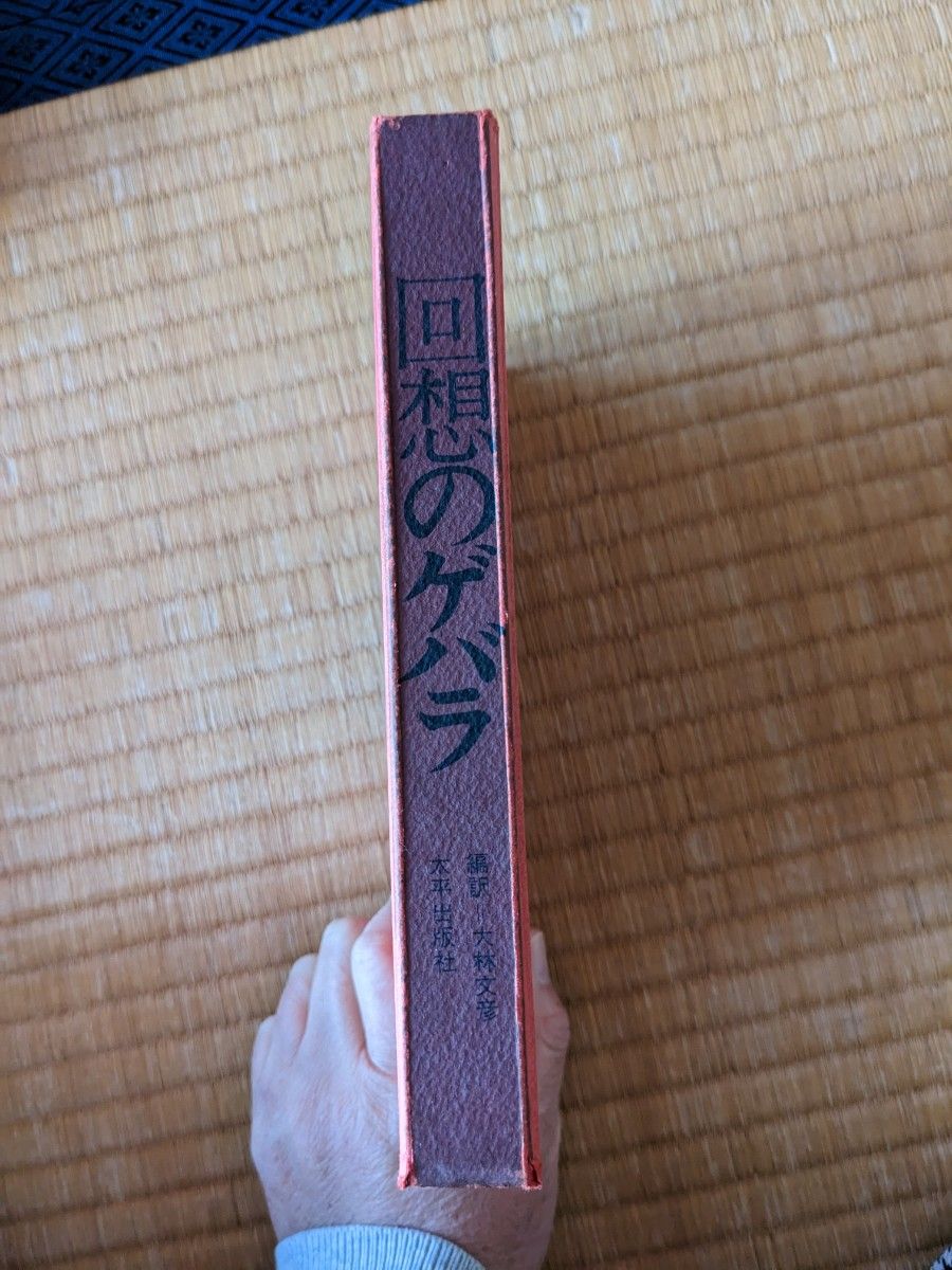 回想のゲバラ　大林文彦　1971年発行　大平出版社