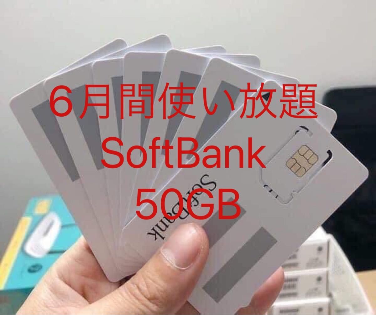 SoftBank プリペイドSIM データ通信 50GB/月 SMS受信可能