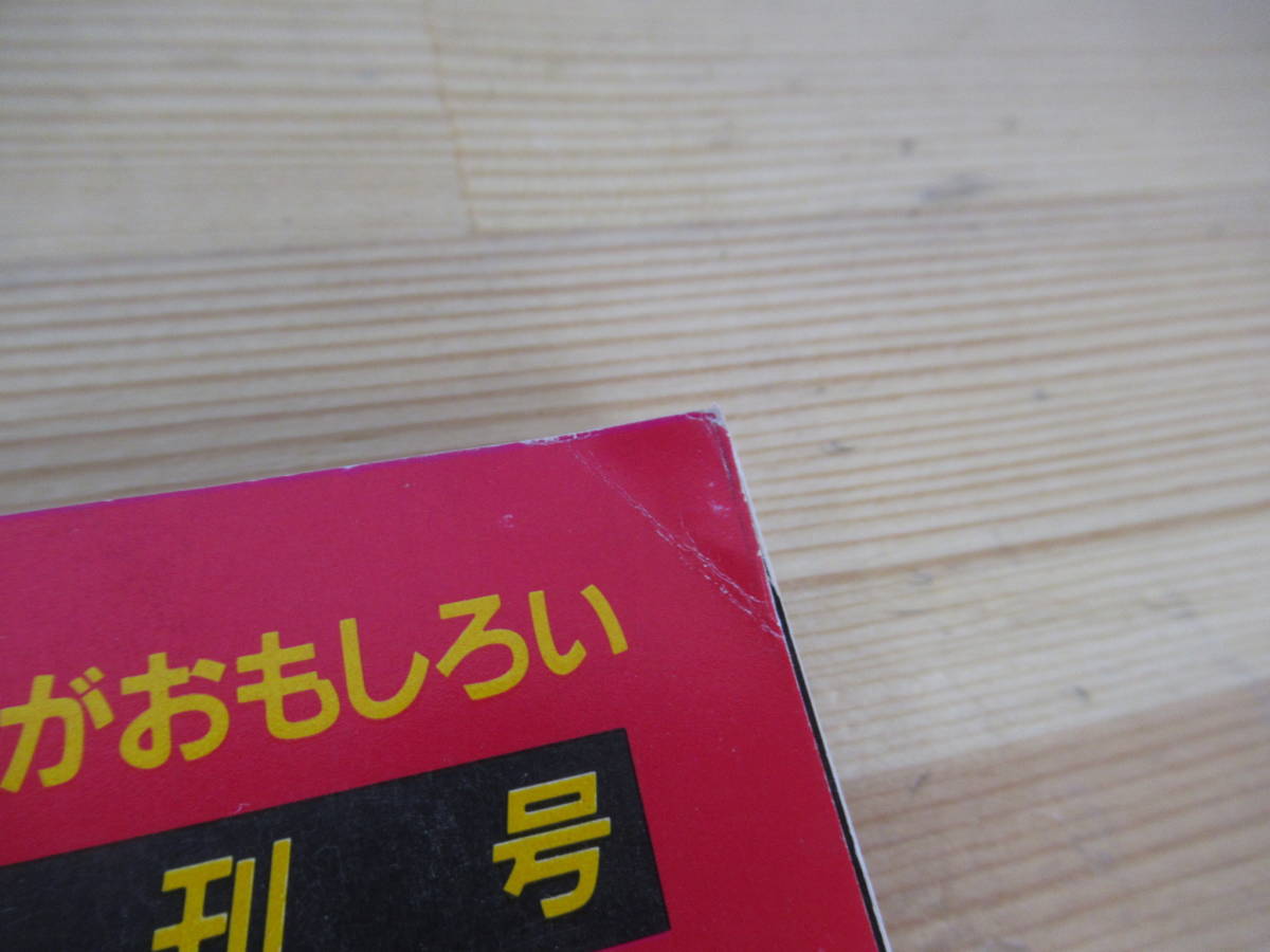 P68▽PHOTOJAPON 創刊号 フォトジャポン ブルーズブラザーズ アニー・リーボビッツ マリリン・モンロー　ロバート・キャパ 230318_画像2