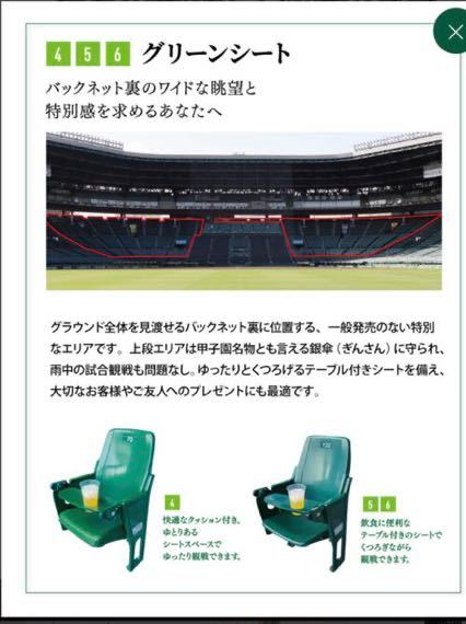 4月8日（土）阪神 vs ヤクルト　甲子園球場　グリーンシート通路側より２席_画像4