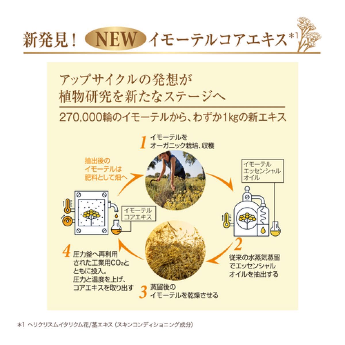 ロクシタンイモーテル ディヴァイン セラム 2個セット | www.mclegal.info