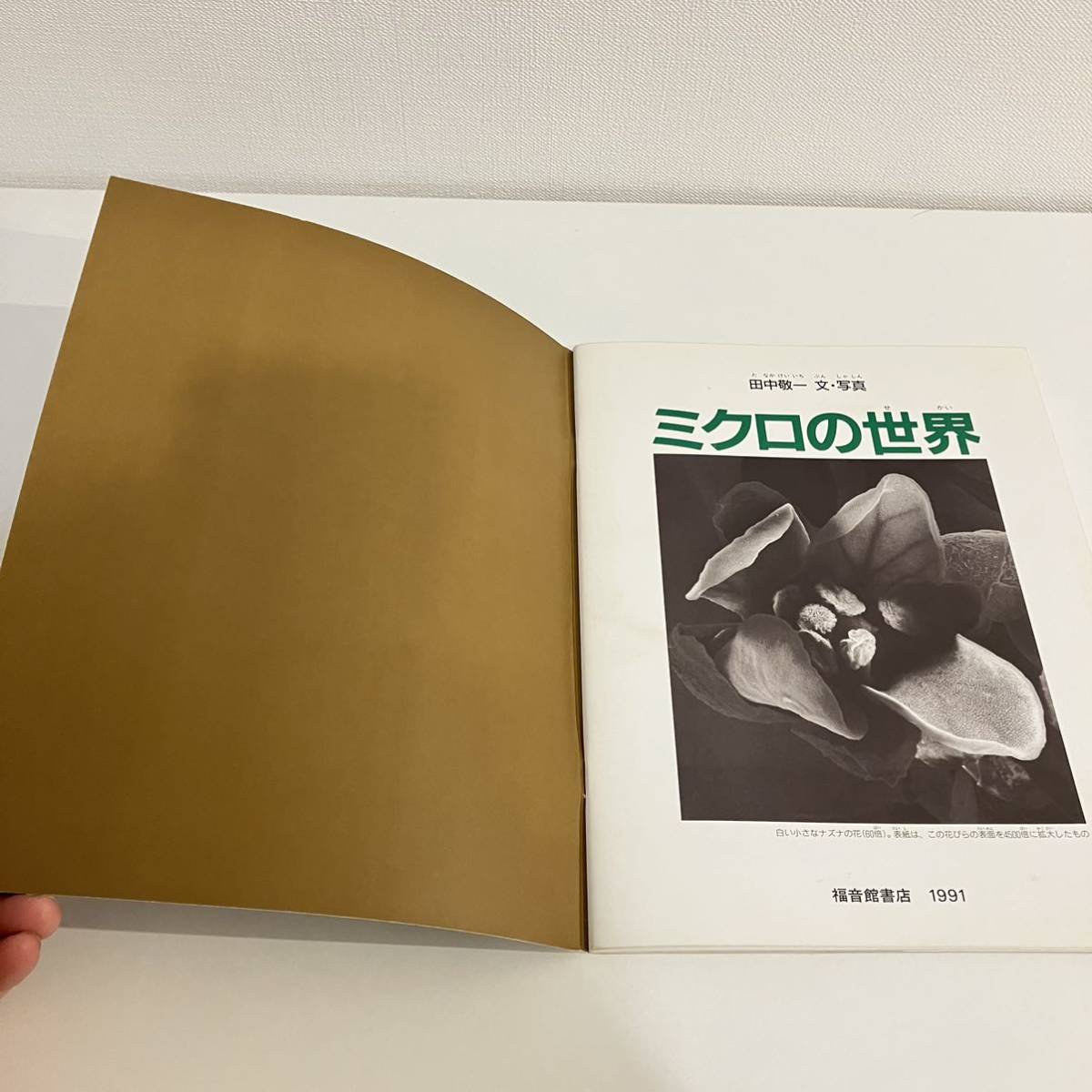 220309【ふしぎ新聞付き美品】月刊たくさんのふしぎ 1991年12月号「ミクロの世界」田中敬一郎文写真★当時物絵本福音館書店かがくのとも_画像5