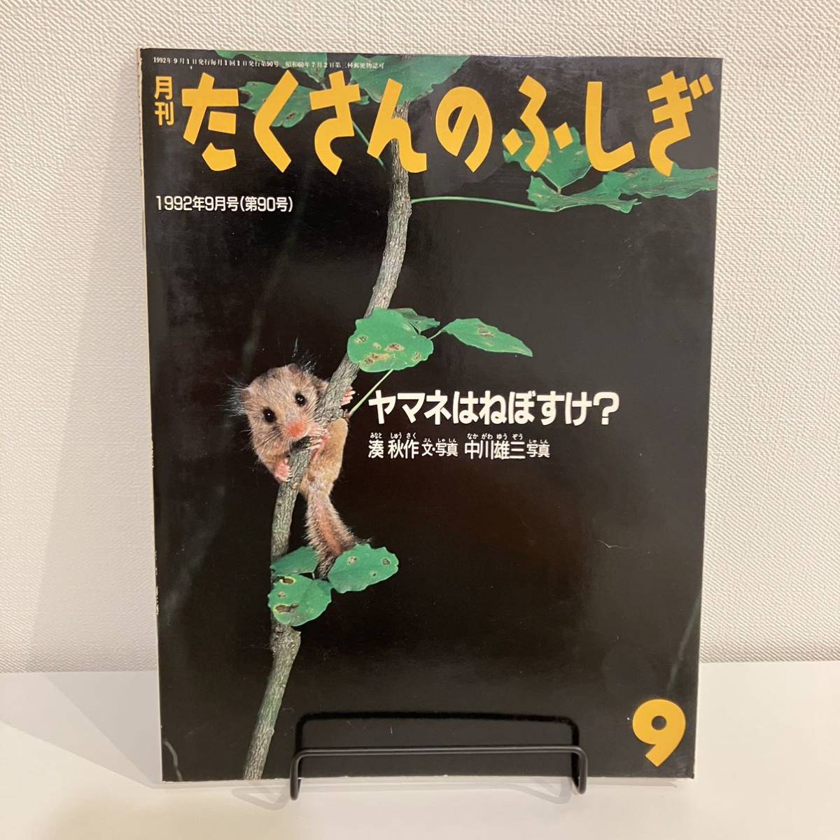 230313【ふしぎ新聞付美品月刊たくさんのふしぎ1992年9月号90号「ヤマネはねぼすけ？」湊秋作 中川雄三★絵本福音館かがくのとも_画像1