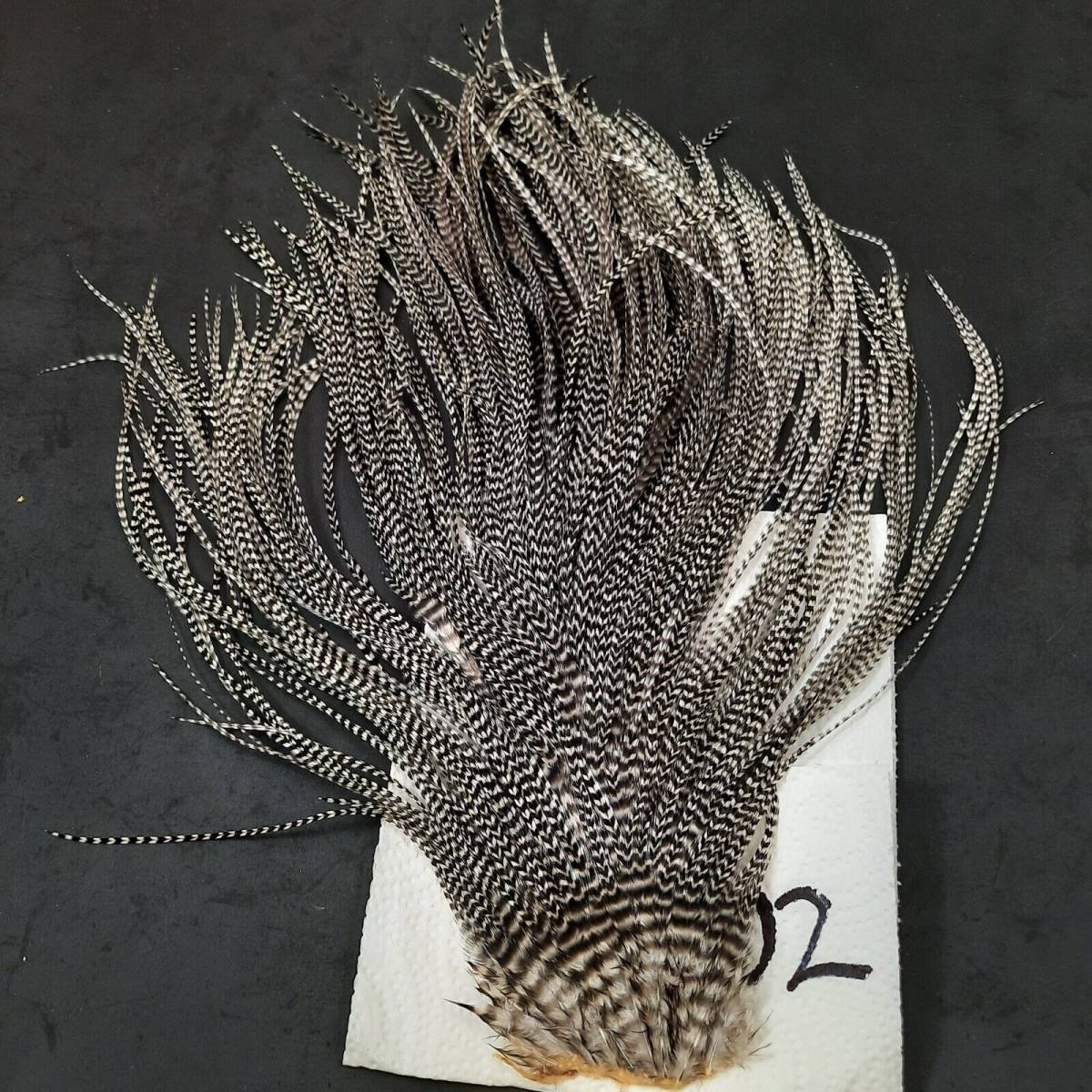 Grizzly Rooster SADDLE HACKLE LONG THIN DRY FLY TYING CRAFT HAIR FEATHERS #02 海外 即決