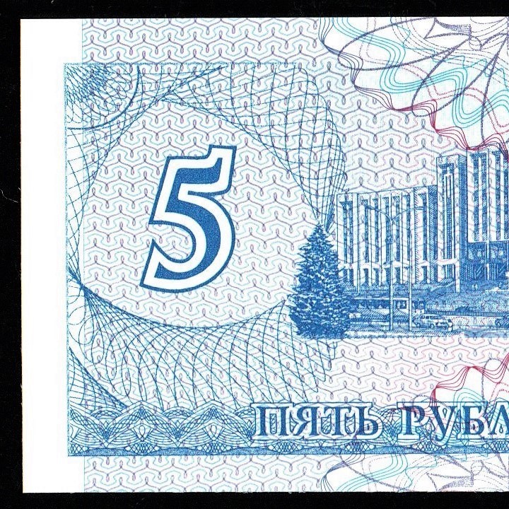 トランスニストリア 5ルーブル紙幣 1994年 125mm×57mm　＜AA3715036＞_画像6