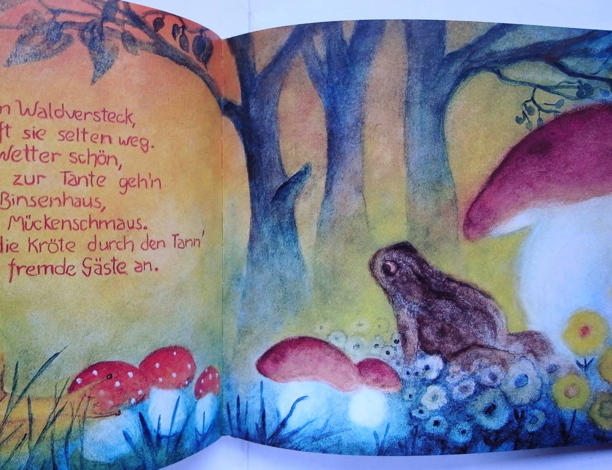  German picture book Jula Scholzen-Gnad / Ein Sommerfest im Walde