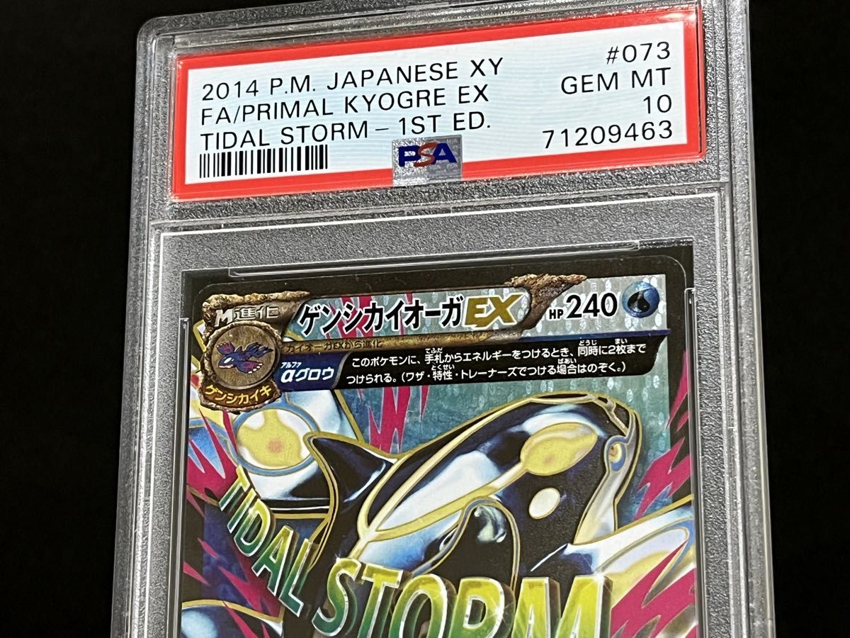 PSA10 鑑定品 ポケモンカード 2014年 ゲンシカイオーガEX 073/070