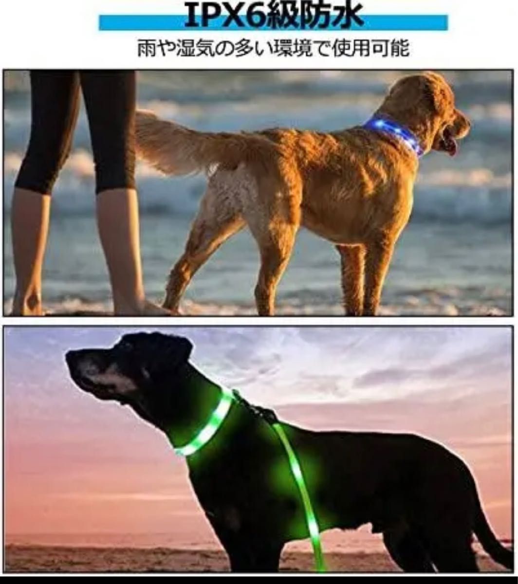 LEDペット用リード エルエンスタジオ 夜間犬用リード 三つモード発光　赤色