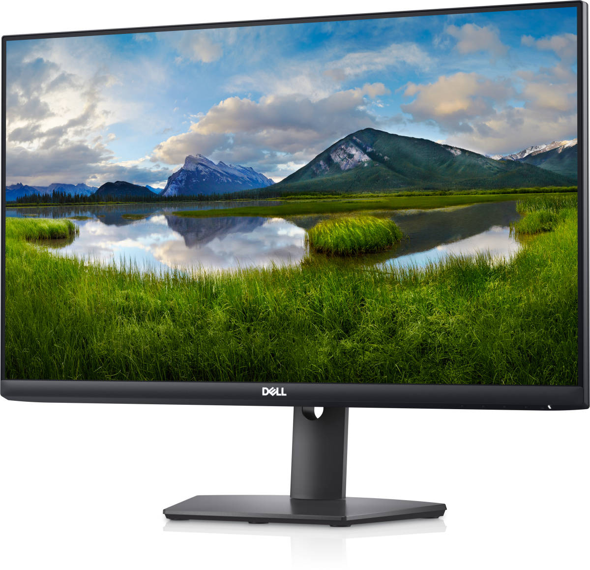 競売 Dell S2421HSX 23.8インチワイドモニター(フルHD/IPS非光沢/HDMI