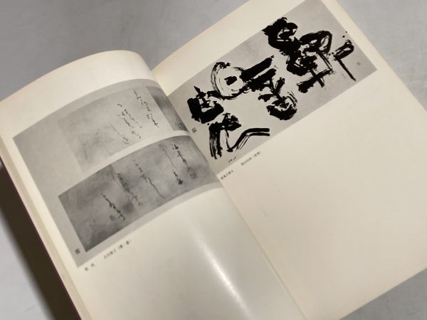 図録 第8回 日展作品集 1976年_画像4