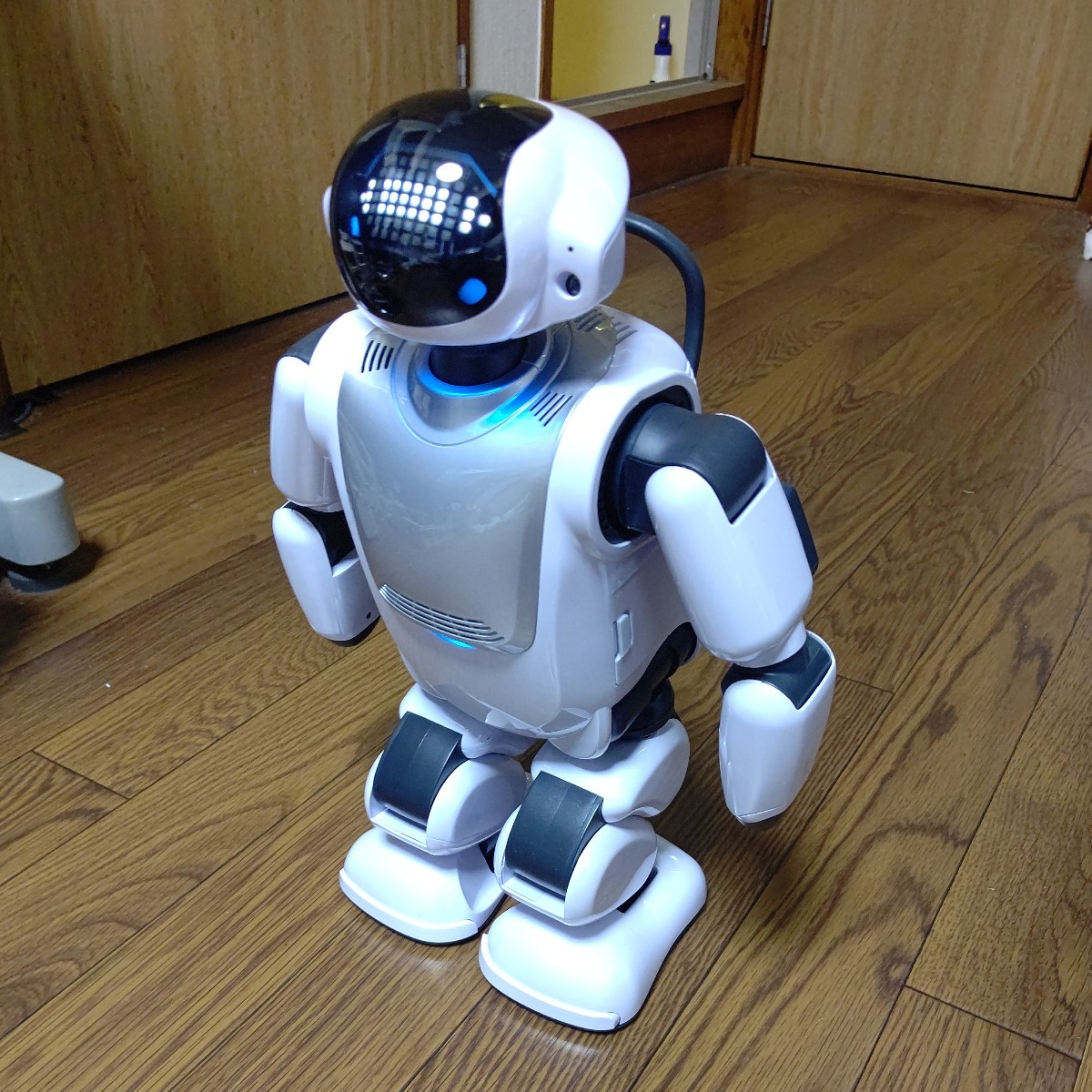 palmi Pal mi- коммуникация робот DMM robot 2 пара ходьба 